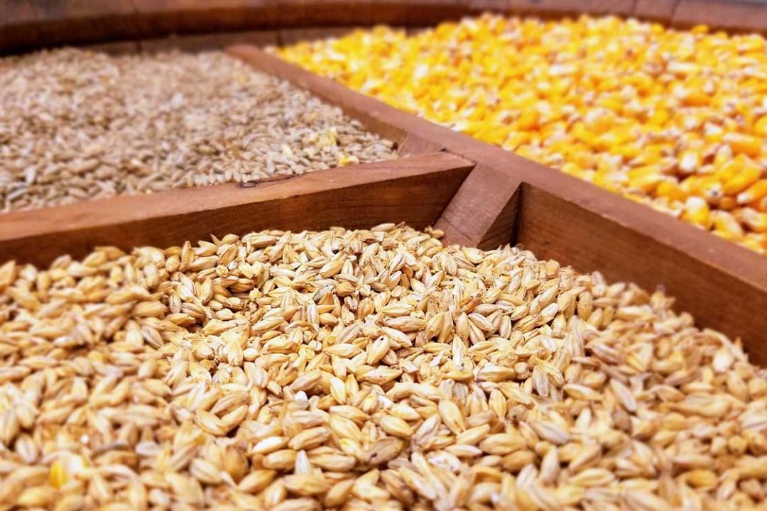  كمبودی در تامین نهاده های دامی وجود ندارد