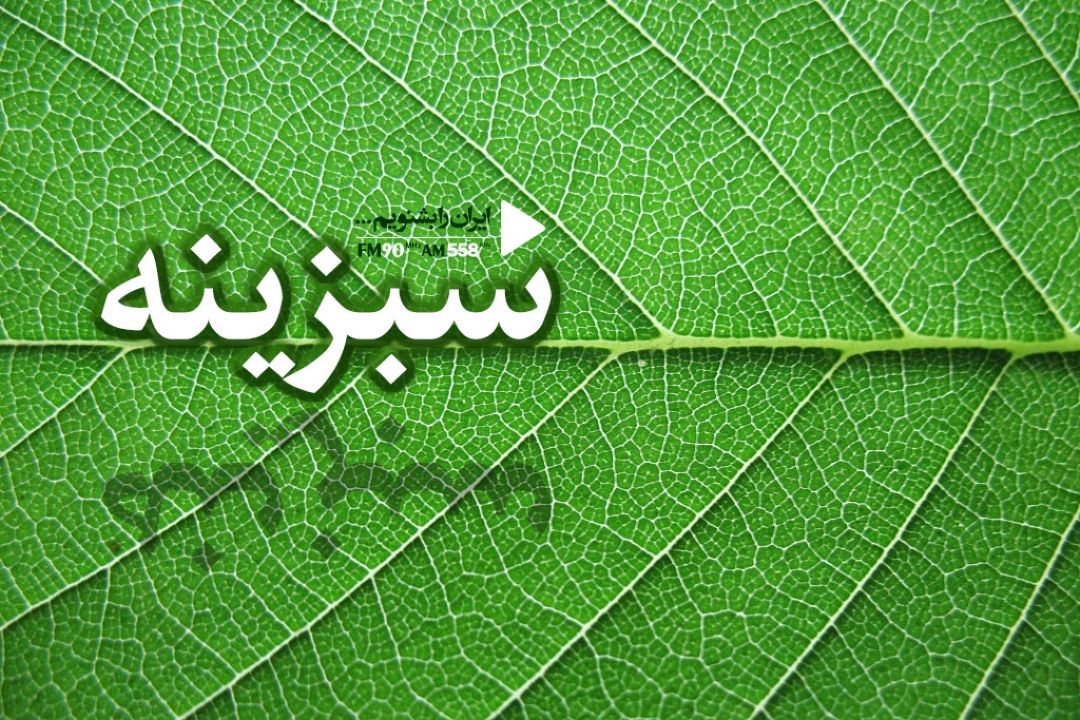 سبزینه