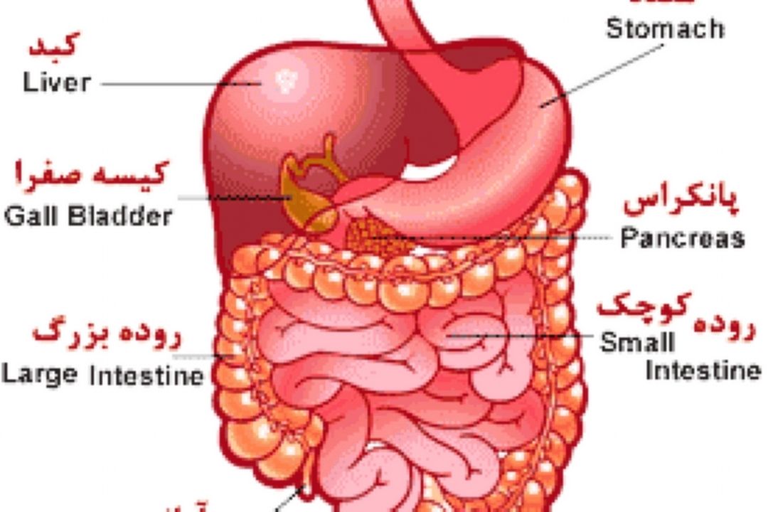بررسی بیماری های دستگاه گوارش در سپهر دانش از "رادیو سلامت"