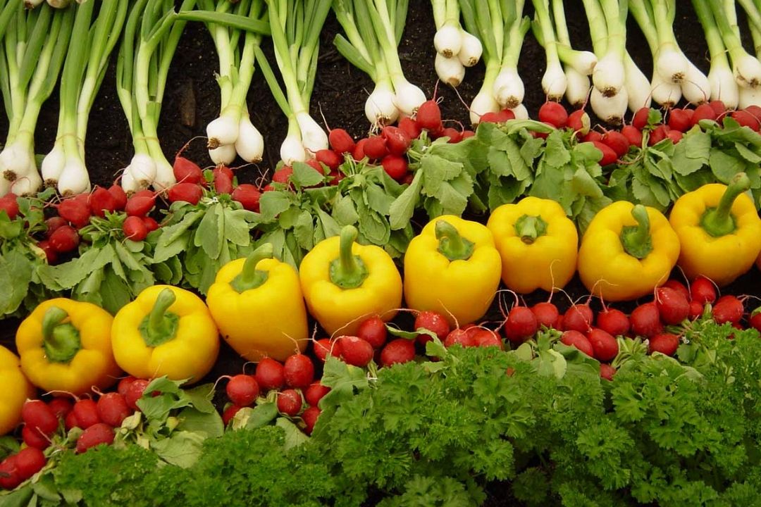 علائم كمبود «منیزیم» را بشناسیم