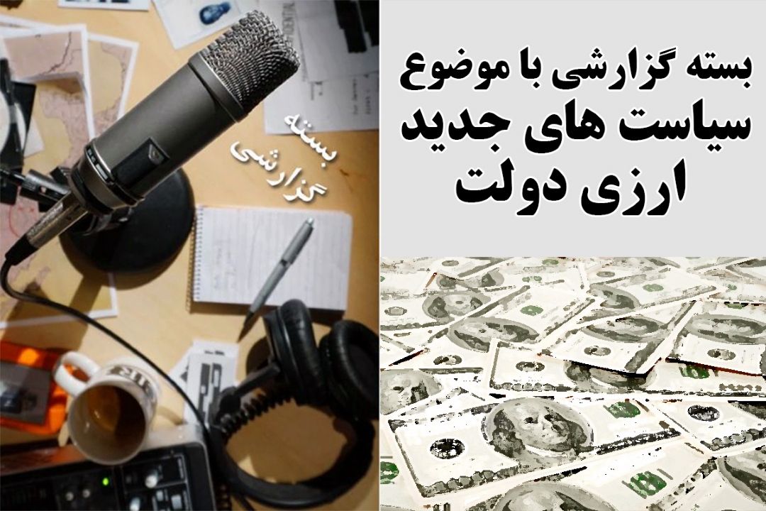 سیاست های جدید ارزی دولت