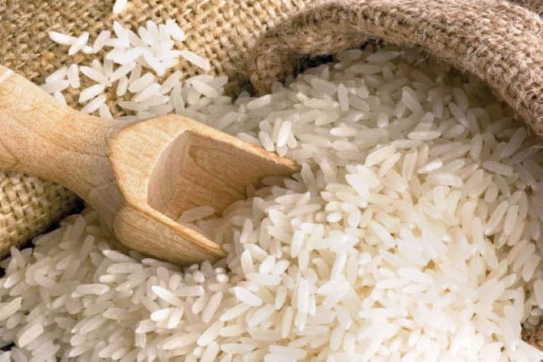 ممنوعیت كشت برنج تصمیم عجولانه بود