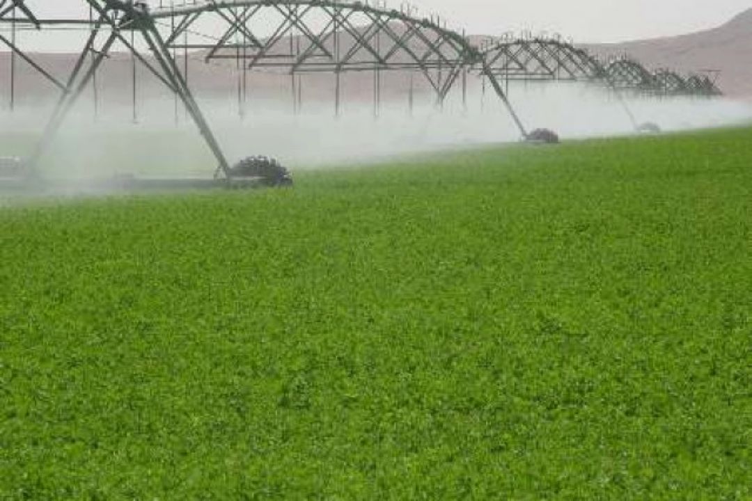محدودیت منابع آبی، كشور را به سمت ارتقای بهره وری برده است 