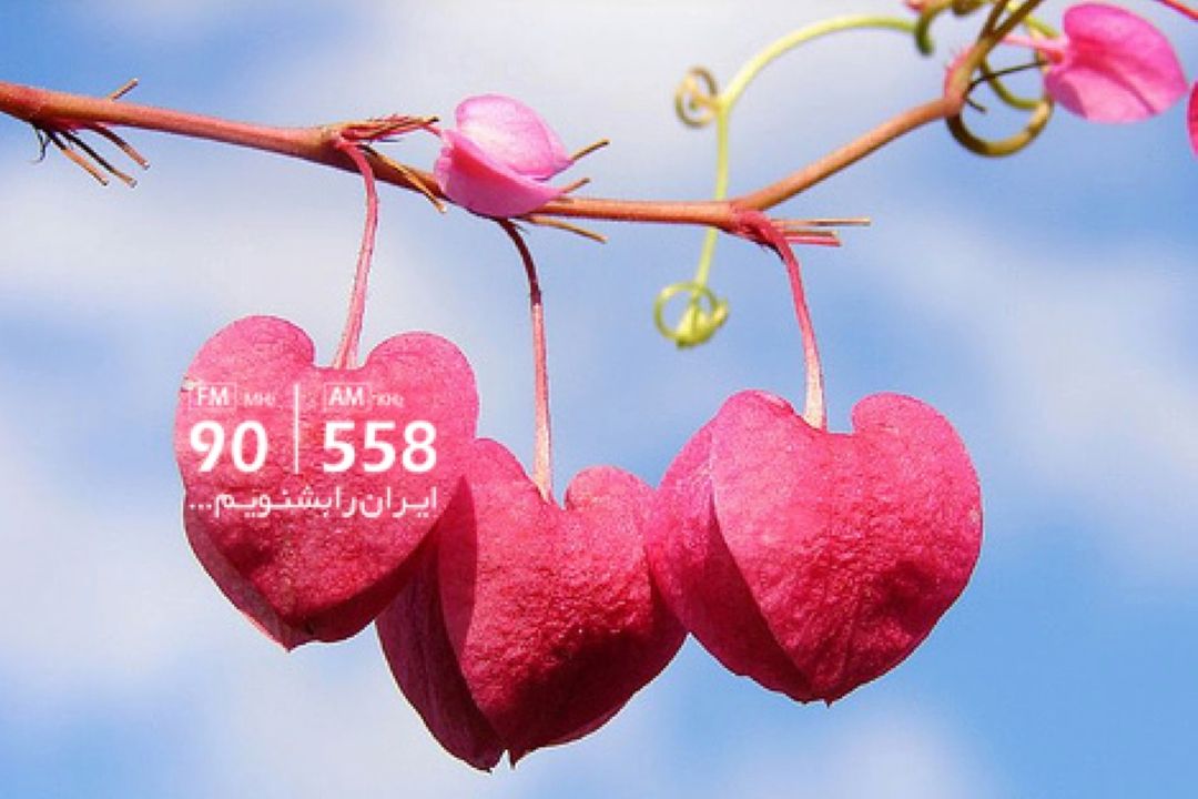محبت جزو نیازهای بنیادین انسان است