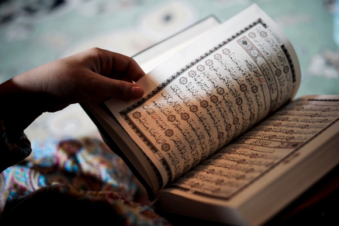پخش برنامه ی 