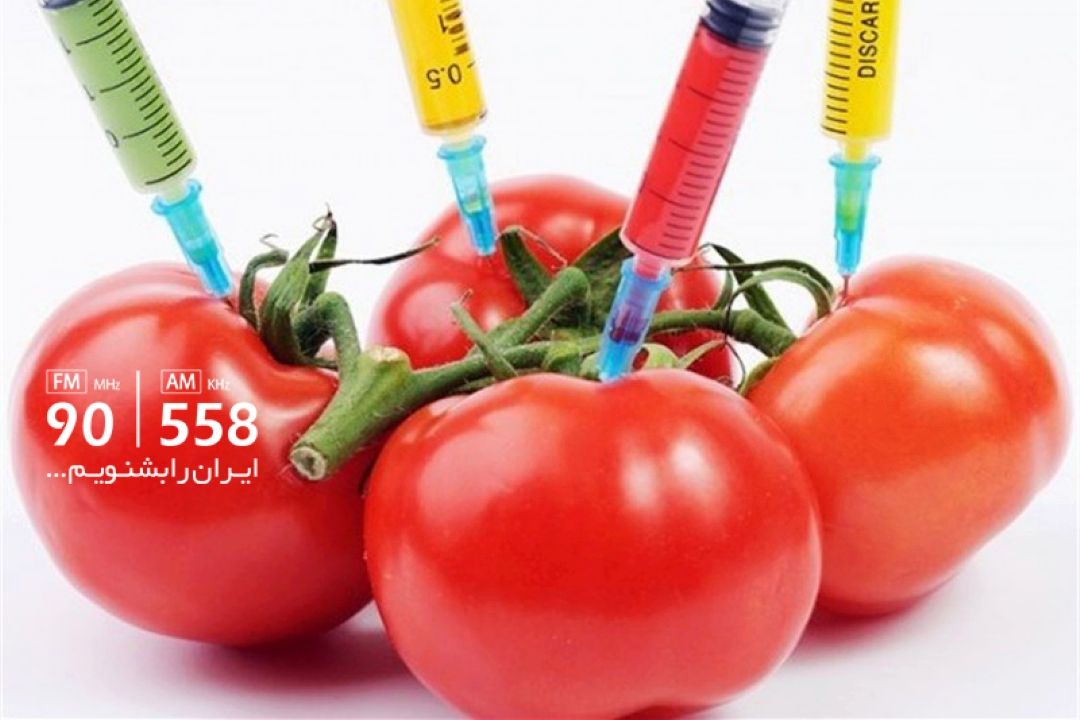محصولات تراریخته در تامین نیازهای غذایی، نقش تعیین كننده دارد