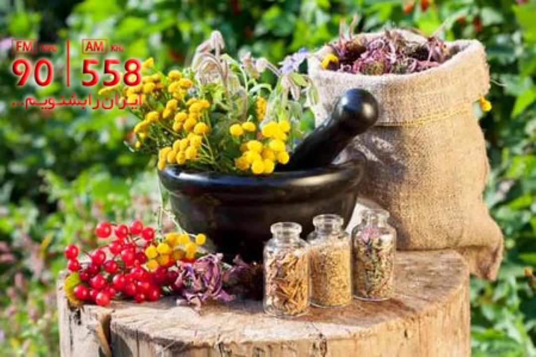 ضرر نداشتن داروهای گیاهی، یك تصور غلط است