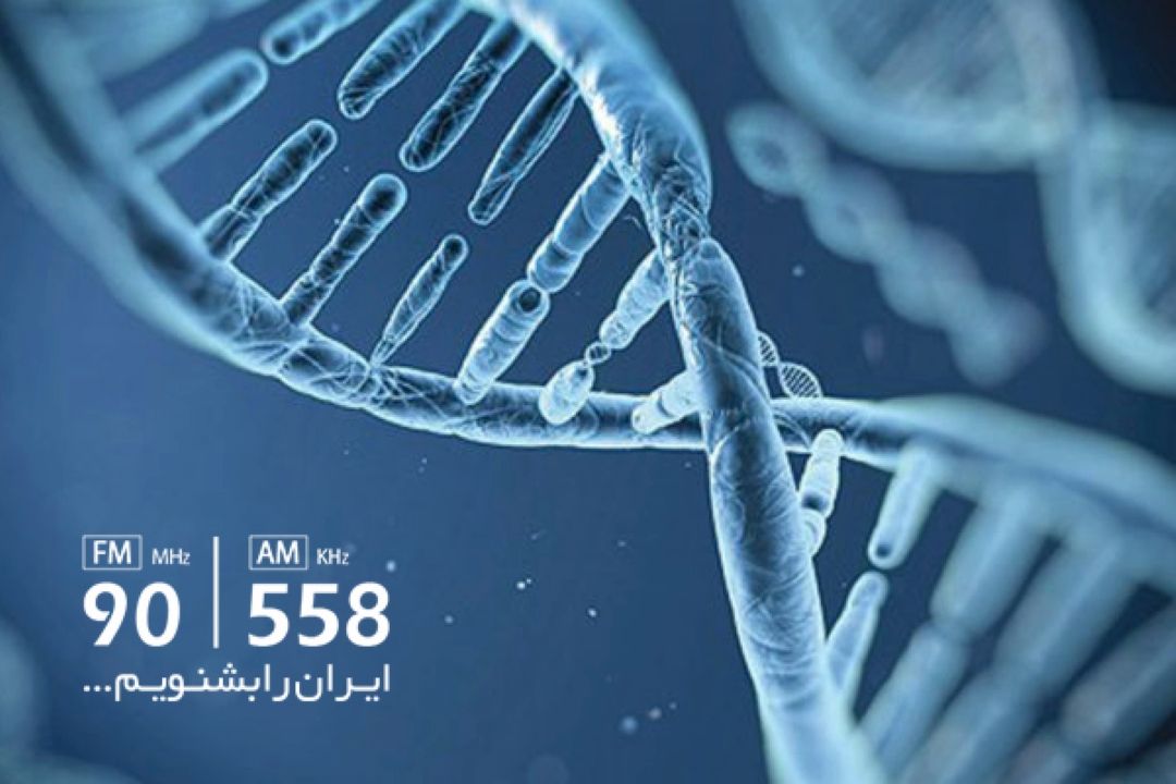 مشاوره ها باید از طریق یك پزشك متخصص صورت گیرد