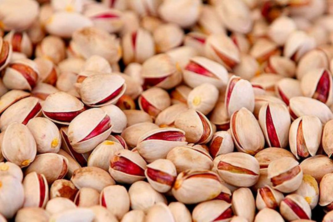 جشنواره پسته دامغان میزبان مردم سراسر كشور است
