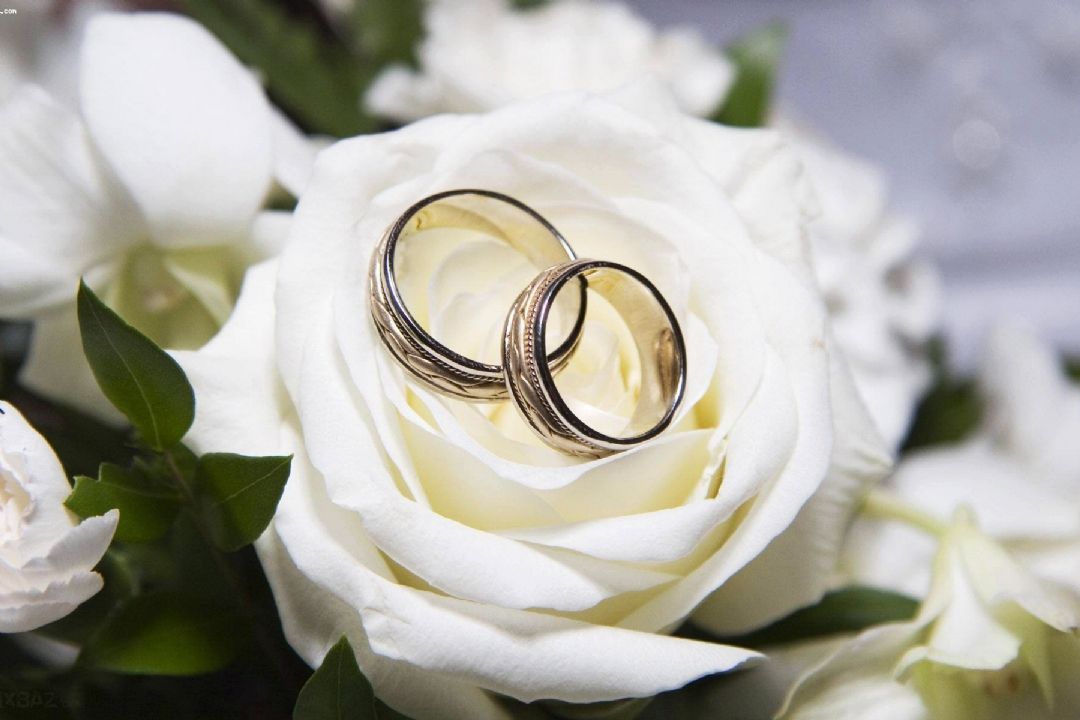 مشاوره پیش از ازدواج آری یا نه؟