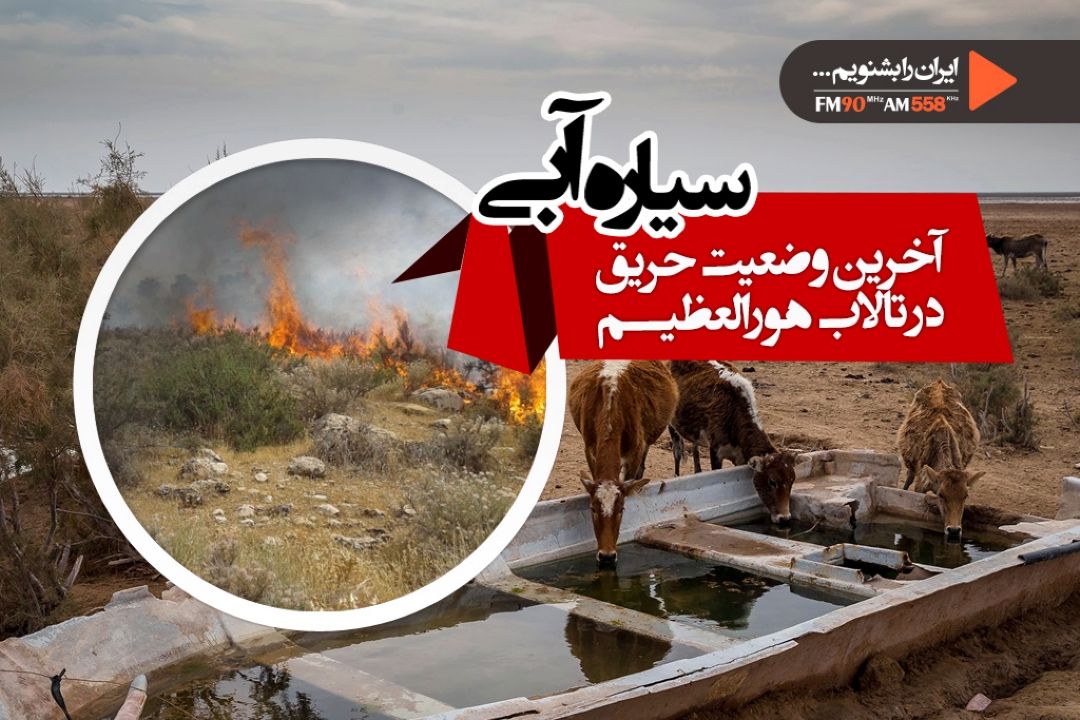 آتش سوزی از دو هفته پیش متوقف شده است