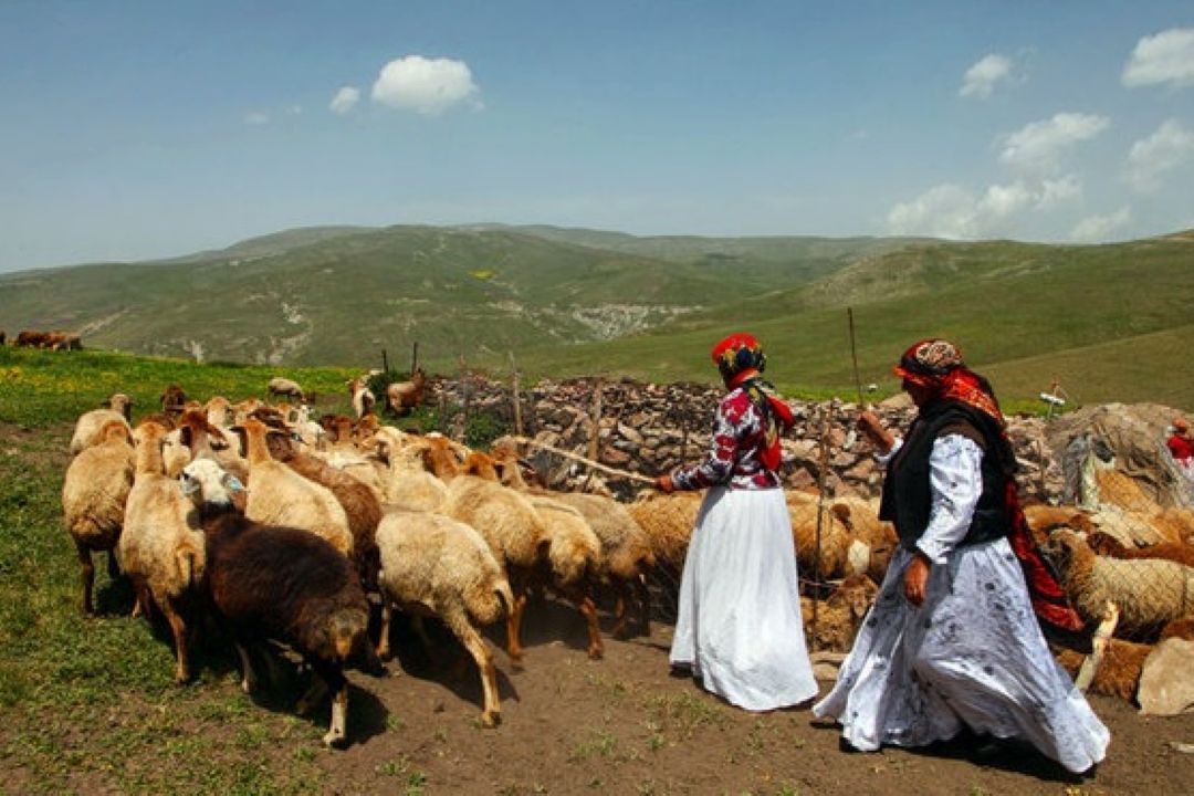 213 هزار خانوار عشایری در ایران