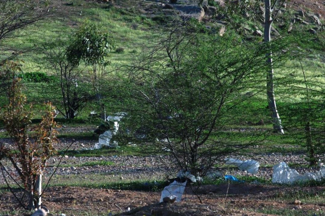 با فرهنگ سفر كنیم: مضرات استفاده از ظروف یكبار مصرف  در سفر