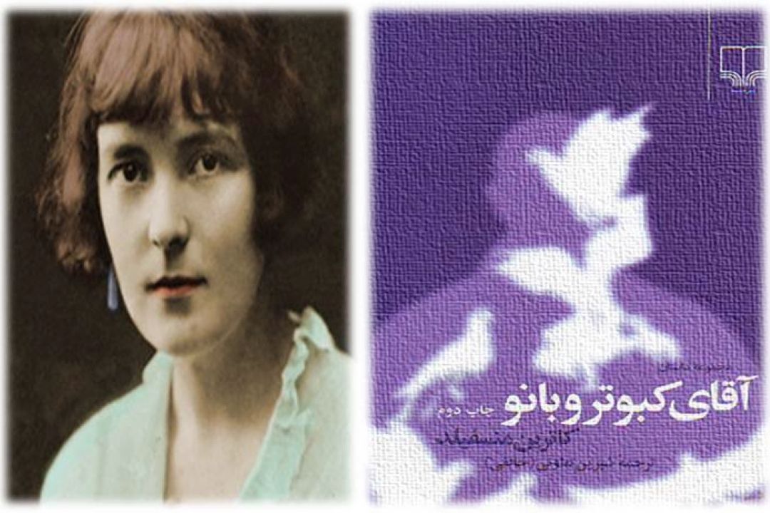 «آقای كبوتر و بانو » 