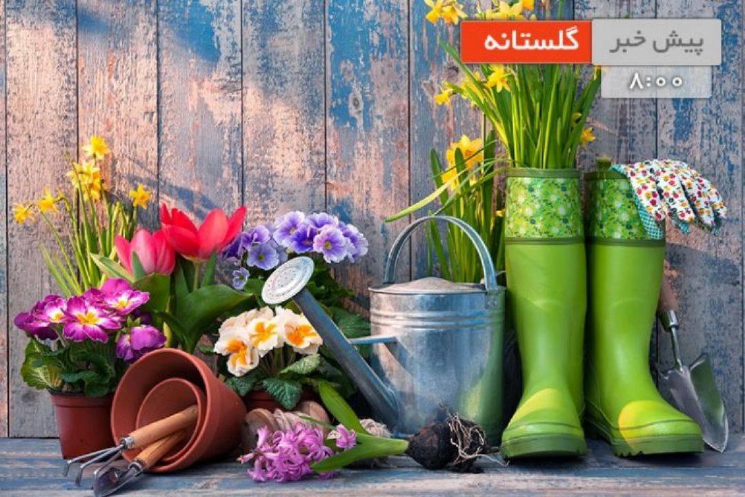لزوم بروز بودن گلخانه ها