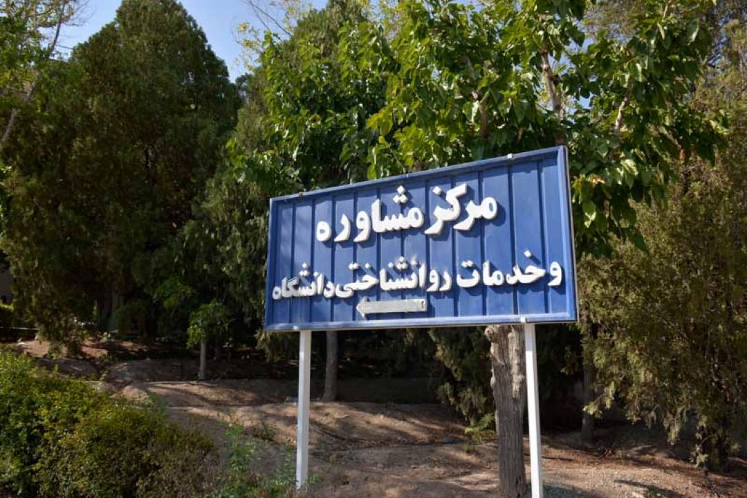 مراكز مشاوره باید در دانشگاه ها حضور فعال داشته باشند