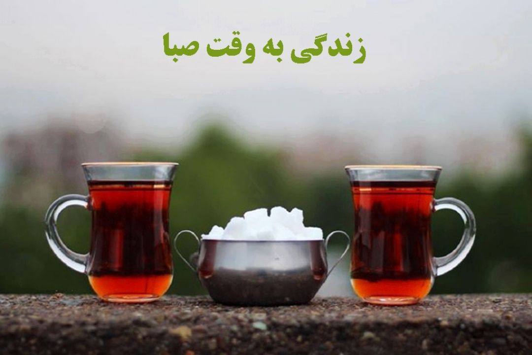 اهمیت رعایت حقوق متقابل در «زندگی به وقت صبا»