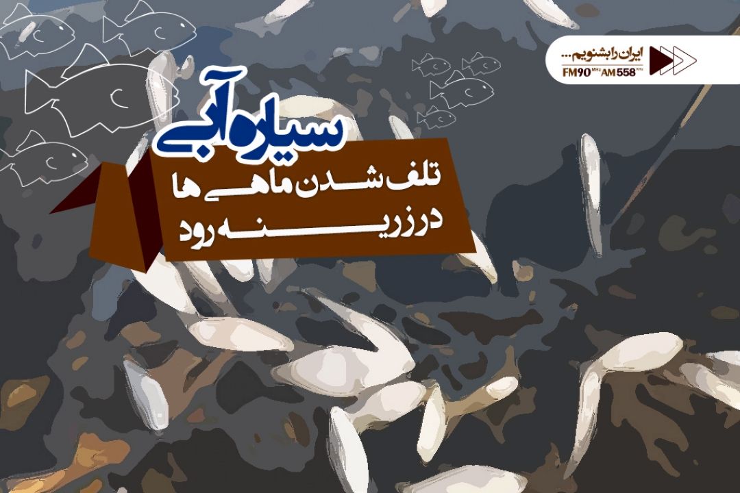 زرینه رود؛ در پاییز سال های اخیر با كاهش جدی آب روبرو بوده است  