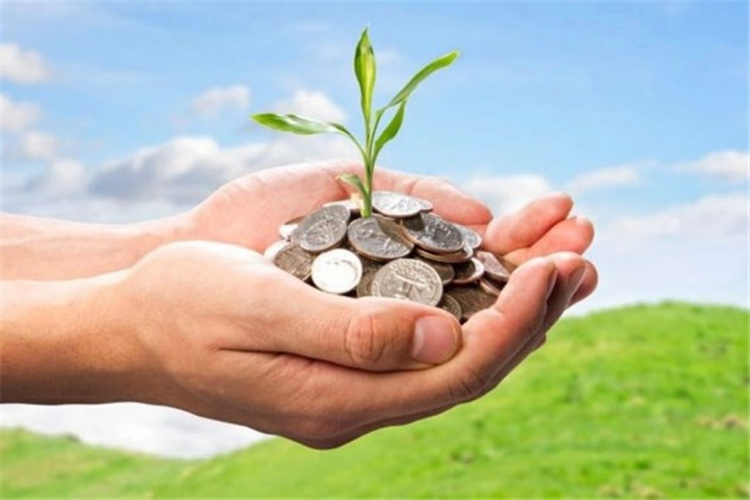 سهم 20 درصدی تعاونی های تامین نیاز در بازار
