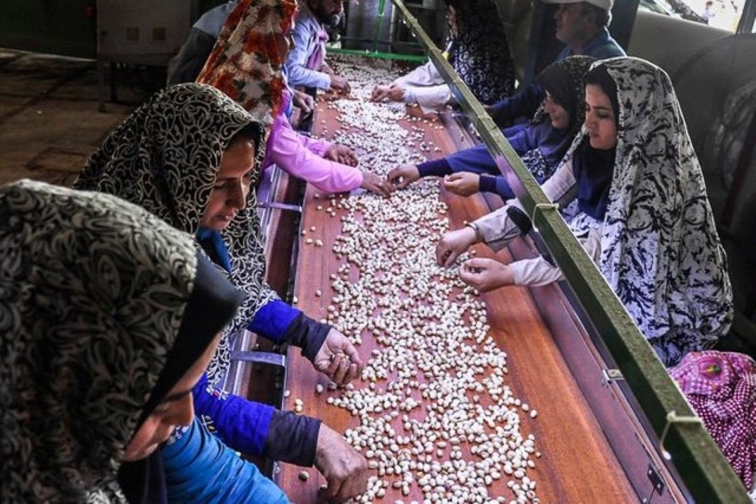 پرداخت 4 هزار میلیارد تومان وام اشتغال روستایی