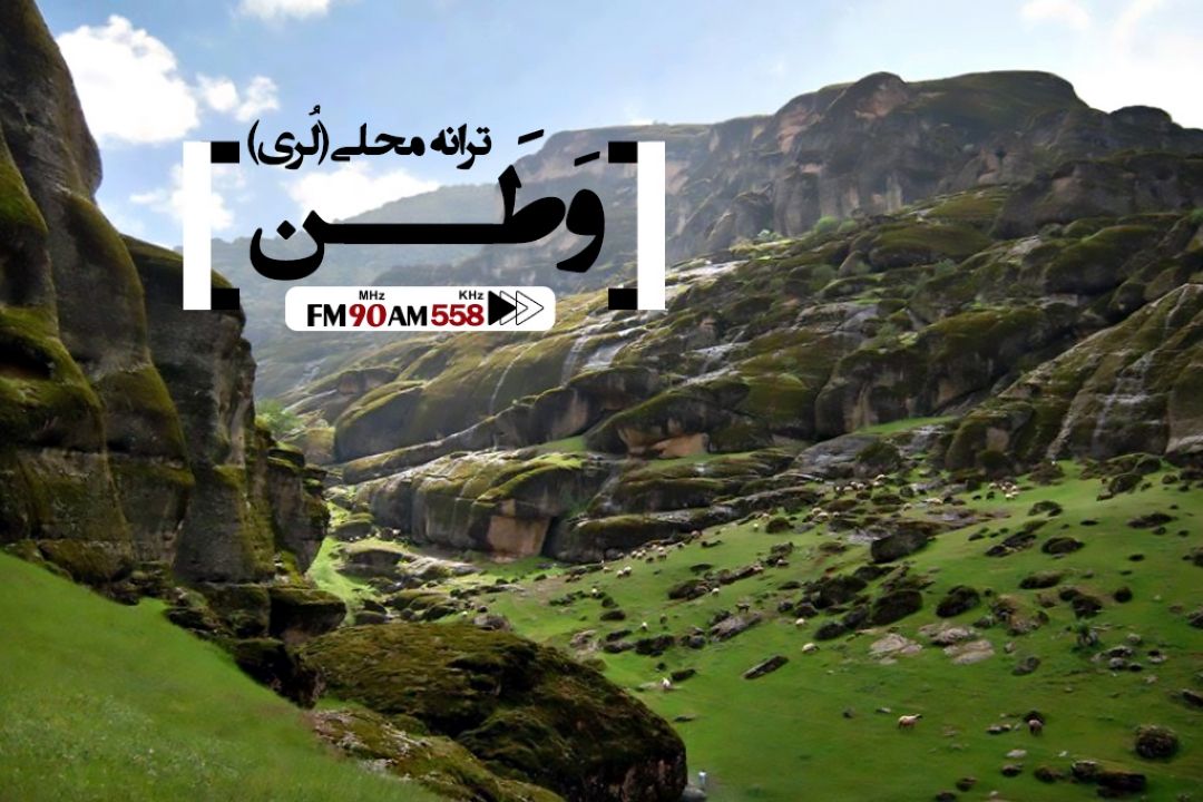 وطن