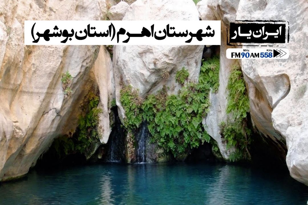 اهرم،دومین مركز تولید خرما است