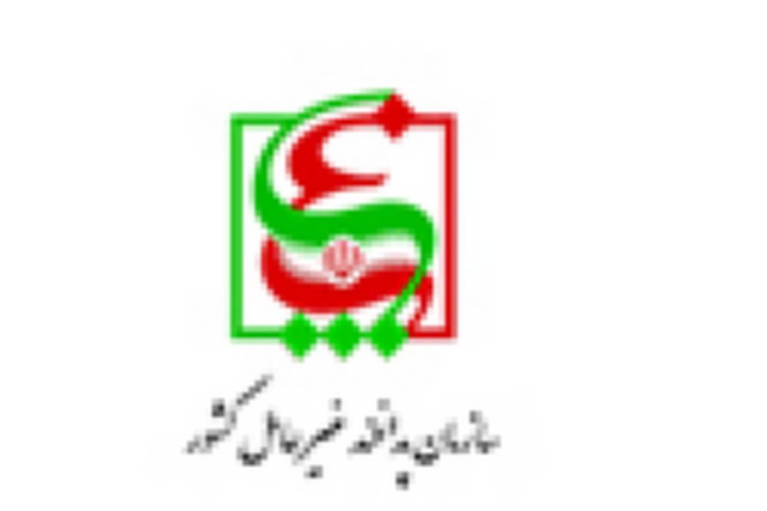 اصلاحات اساسی ارزی درحال انجام است