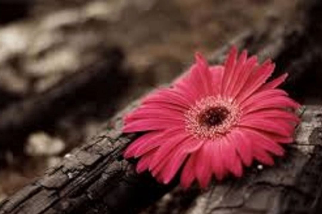 آبی روشن