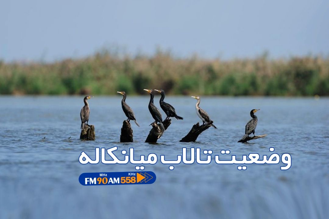 وضعیت تالاب میانكاله خیلی بد نیست