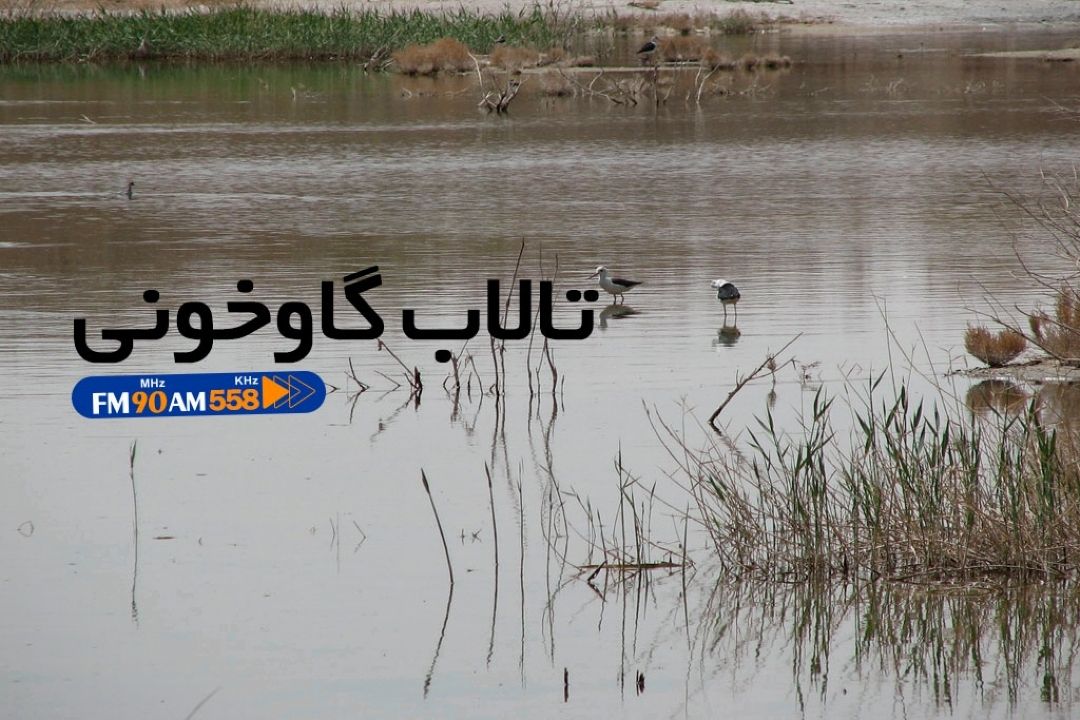 تالاب گاوخونی همچنان از نعمت حقآبه زیست محیطی بی بهره است