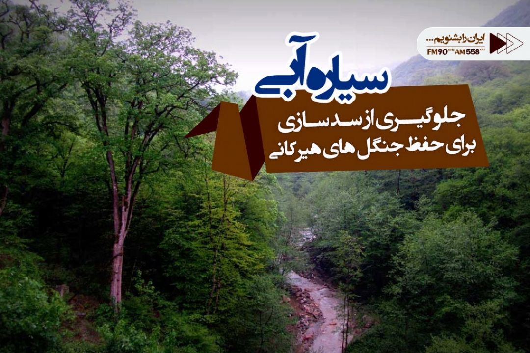 برای حفظ جنگل های هیركانی باید جلوی سدسازی های نادرست گرفته شود