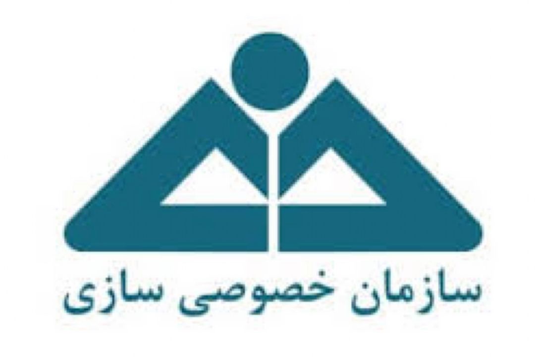 خصوصی سازی در دیگر كشورها هم با مشكلاتی همراه بوده است