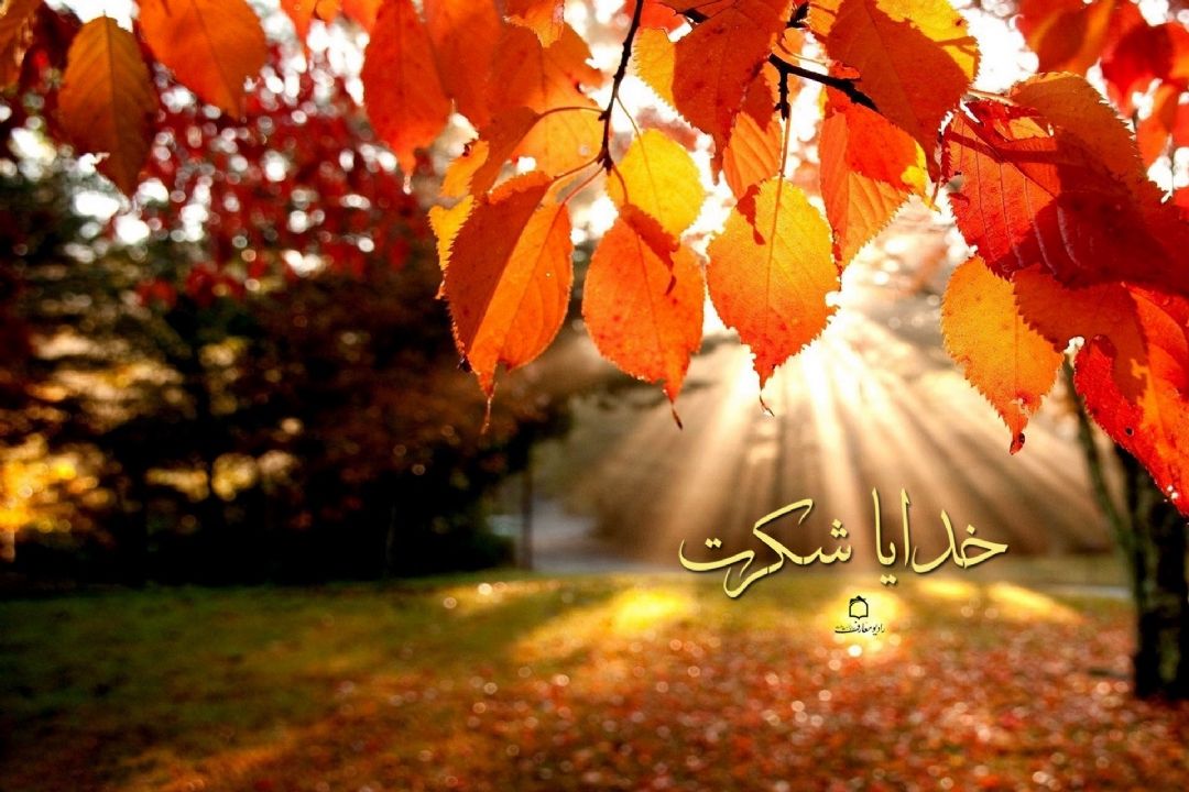 نكو ملكی است ملك صبحگاهی