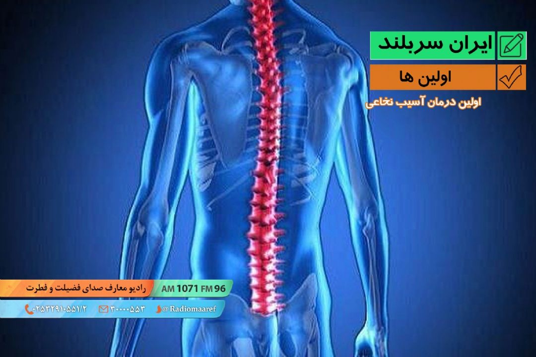اولین ها - اولین درمان آسیب نخاعی