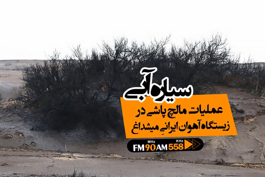منطقه «میشداغ» از فهرست عملیات مالچ پاشی خارج شده است
