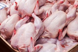 عدم ذخیره سازی مرغ باعث افزایش قیمت و واردات آن شده است