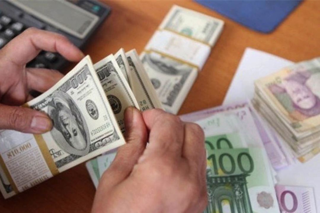 مكانیزم تخصیص یارانه برای واردات مشكل دارد