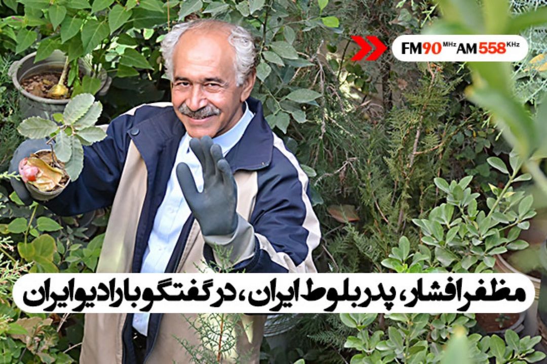 استقرار 22 گونه بومی بلوط در پارك جنگلی خرم آباد