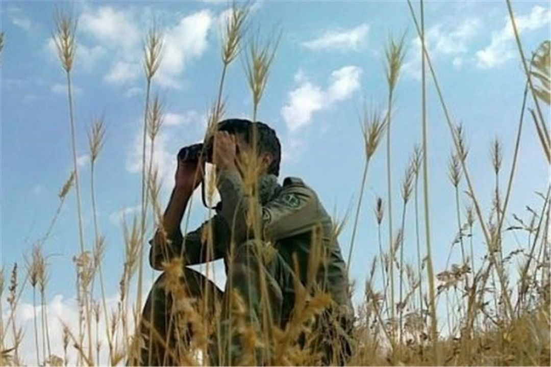 زندگی دو محیط بان نمایش رادیویی شد 