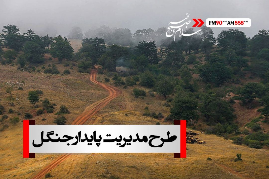 مدیریت پایدار جنگل طرحی با مشاركت مردم