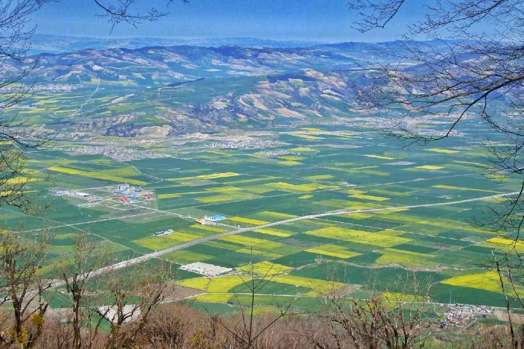 گلستان