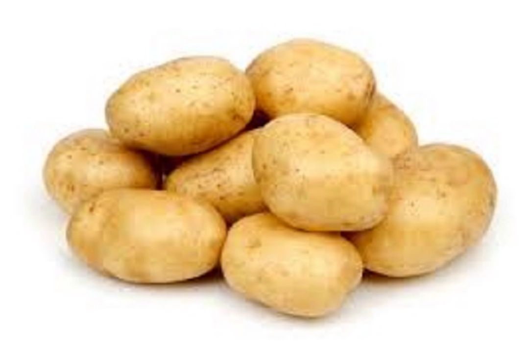 سیبب زمینی