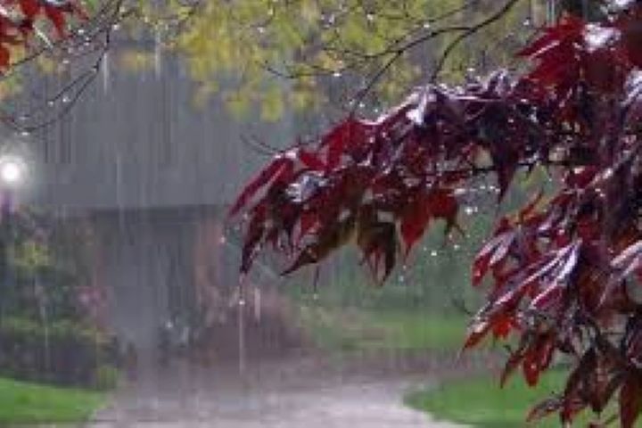 بارش ها امروز در كشور پراكنده است