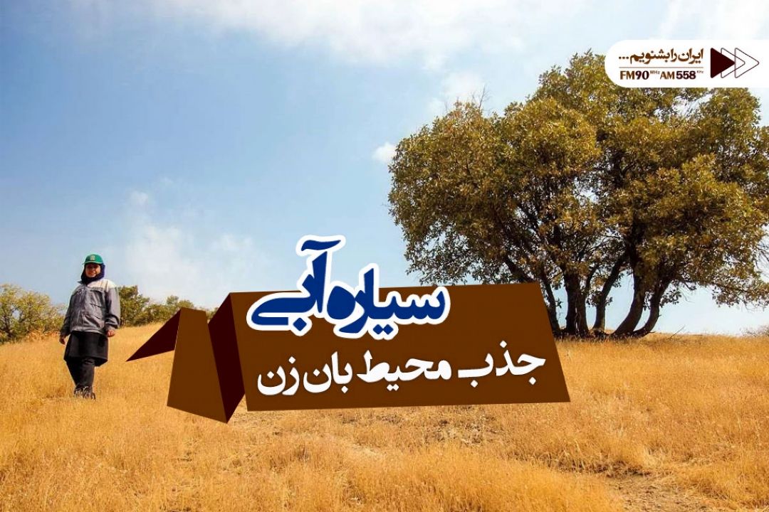 جذب محیط بان زن تنها در حوزه آموزش 