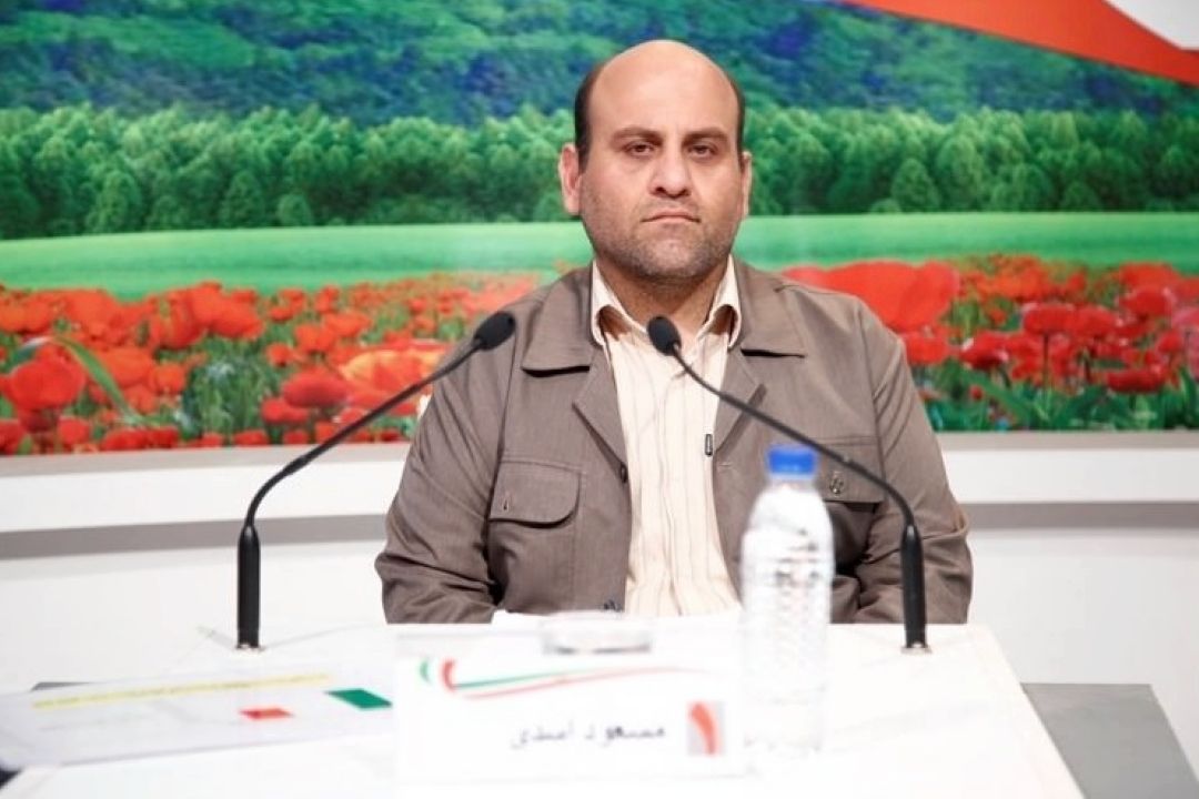 واردات موی اسب و خاك اره در شرایط تحریمی
