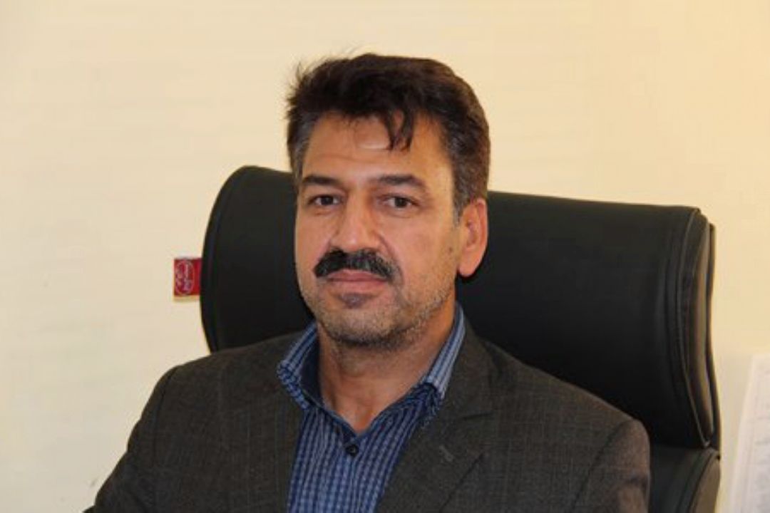 گوشت قرمز روی ریل ارزانی