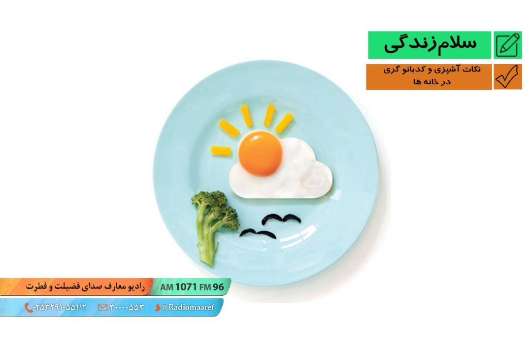 خونه زندگی - نكات آشپزی و كدبانوگری در خانه ها - گوشتها