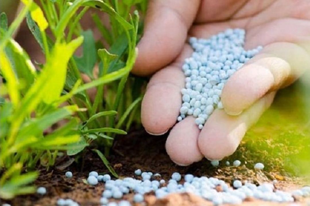 بی اعتنایی مجلس نسبت به تامین مالی سموم ارگانیك