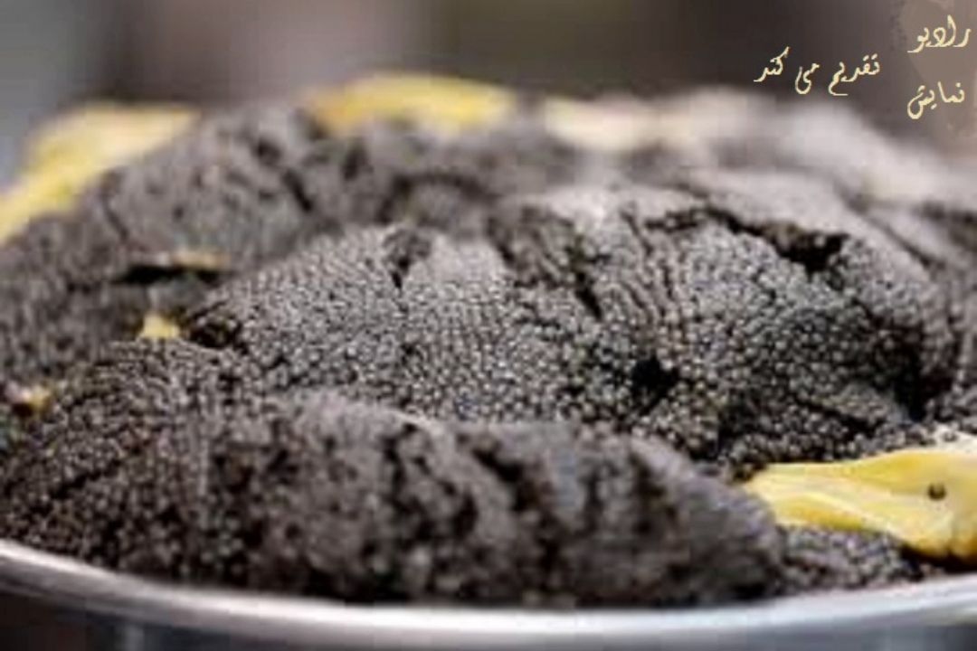 رادیو نمایش ماهی خاویاری تولید می كند