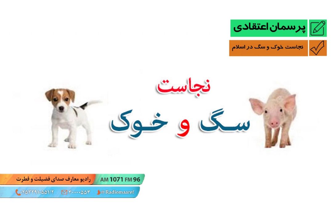 نجاست خوك و سگ در اسلام